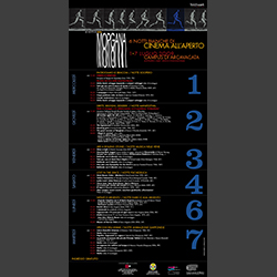 2009 - totem banner,<br> inkjet print on self-adhesive vinyl,<br> 79 x 39''